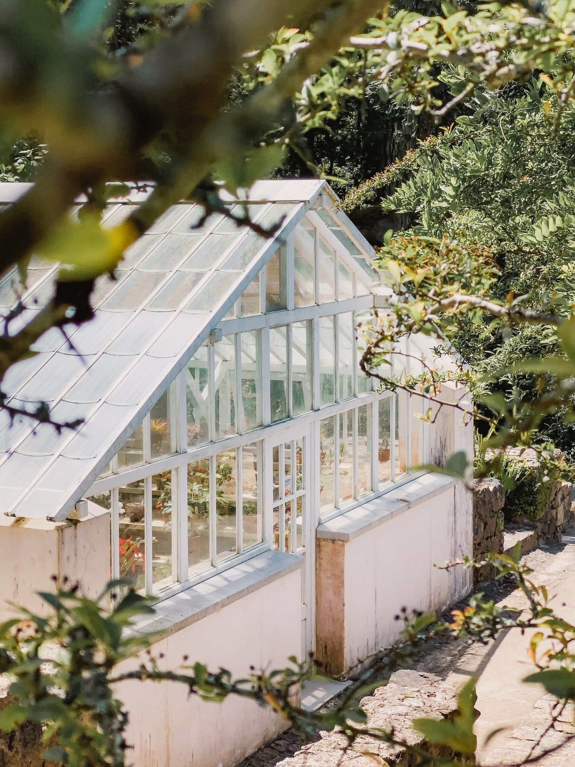 Bilden visar ett växthus. Renovera uterummet eller växthuset med ett plasttak av polykarbonat.
